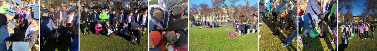 Artykuł: Pasowanie i sadzenie drzewek – symbol nowego początku! - Zdjęcie 62251