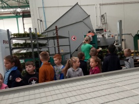 Artykuł: Wszystkie odcienie zieleni - Zdjęcie 29862