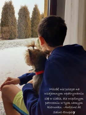 Artykuł: Znamy wyniki konkursu - „Mój czworonożny przyjaciel” - Zdjęcie 33002
