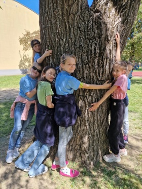 Artykuł: Przytulajcie z nami drzewa!   #straznicylasow  - Zdjęcie 35394