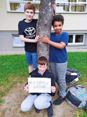Artykuł: Przytulajcie z nami drzewa!   #straznicylasow  - Zdjęcie 354122