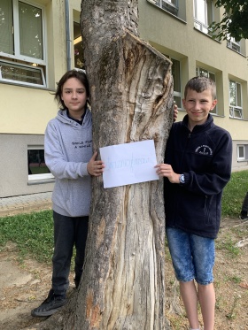 Artykuł: Przytulajcie z nami drzewa!   #straznicylasow  - Zdjęcie 354124