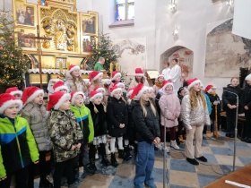 Artykuł: Rozśpiewane Świetliki - Zdjęcie 49171