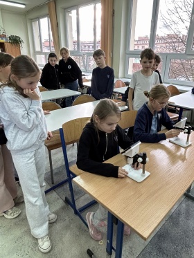 Artykuł: Mózg - nasze centrum dowodzenia! - Zdjęcie 62935
