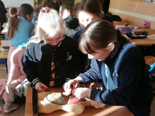 Artykuł: A wy znacie Szkołonellę Jedynkowską? - Zdjęcie 40241