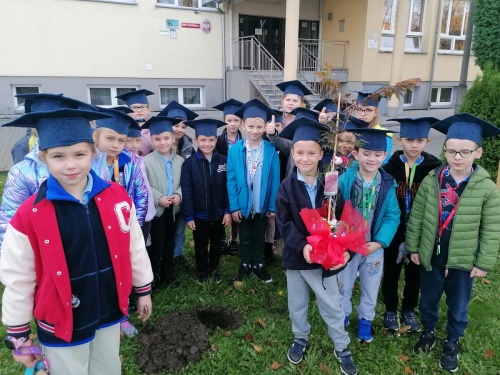 Artykuł: Jedna klasa - jedno drzewko - Zdjęcie 46761