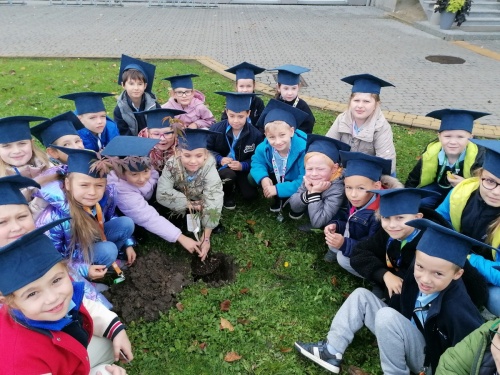 Artykuł: Jedna klasa - jedno drzewko - Zdjęcie 46763