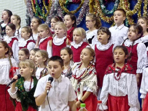 Artykuł: Świąteczne Świetliki - Zdjęcie 48462