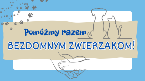 Artykuł: Pomóżmy razem bezdomnym zwierzakom!  - Zdjęcie 55921