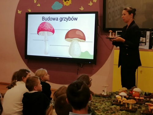 Artykuł: W królestwie grzybów – niezwykłe zajęcia dla klas 3 - Zdjęcie 61233