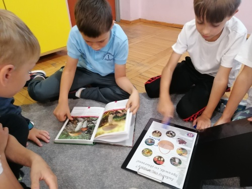 Artykuł: W królestwie grzybów – niezwykłe zajęcia dla klas 3 - Zdjęcie 61236