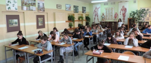 Strona: galeria konkursu - Zdjęcie 8393